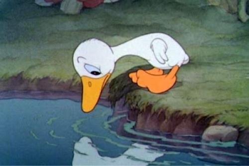 Какие интересные факты связаны с созданием одного из его популярных произведений. «Гадкий утёнок»: история создания знаменитой сказки