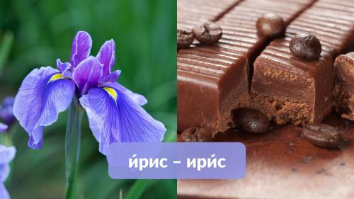 Как неправильное ударение может изменить значение слова. Омографы: как «ударный» кузнечик меняет смысл слова, а с ней и нашу жизнь