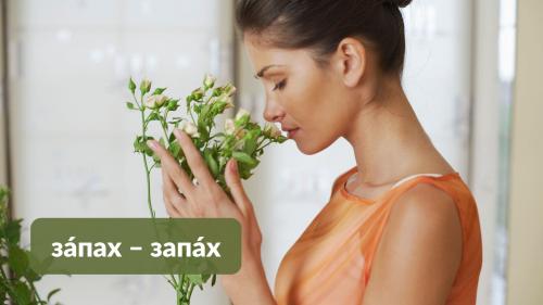 Как неправильное ударение может изменить значение слова. Омографы: как «ударный» кузнечик меняет смысл слова, а с ней и нашу жизнь