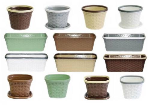 Какие из этих 10 слов имеют происхождение из других языков. 10 европейских заимствований в русском языке