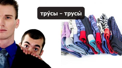 Как неправильное ударение может изменить значение слова. Омографы: как «ударный» кузнечик меняет смысл слова, а с ней и нашу жизнь