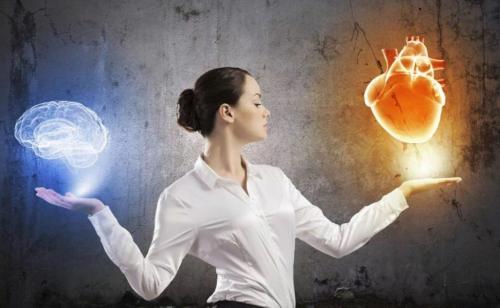 Окно Овертона -- примеры. Что такое окно овертона: примеры и истории