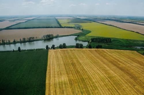 О Краснодаре факты. Интересные факты о Краснодаре. 14