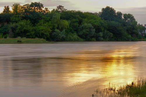 О Краснодаре факты. Интересные факты о Краснодаре. 11