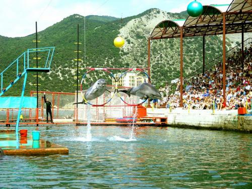 О Краснодаре факты. Интересные факты о Краснодаре. 17