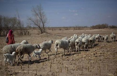 Как географические объекты влияют на окружающую среду.  Загрязнение литосферы