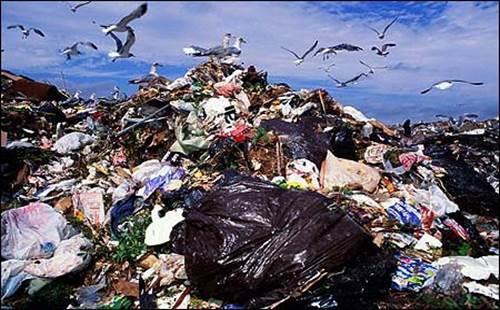 Как географические объекты влияют на окружающую среду.  Загрязнение литосферы