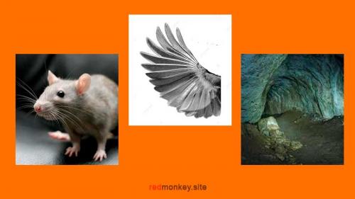 Страшные загадки с ответами. Загадки с вариантами ответа 10