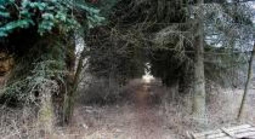 Загадки » страшные истории. загадка — жуткие, мистические и страшные истории