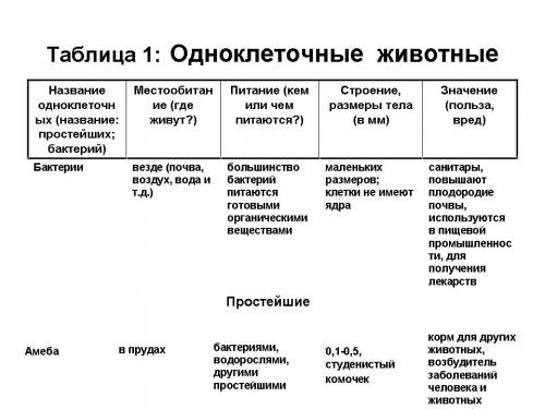 Изучение жизни в единственной клетке: удивительный мир организмов простейших 11