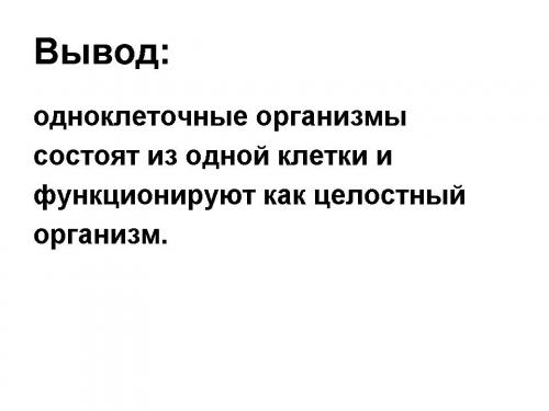 Изучение жизни в единственной клетке: удивительный мир организмов простейших 13