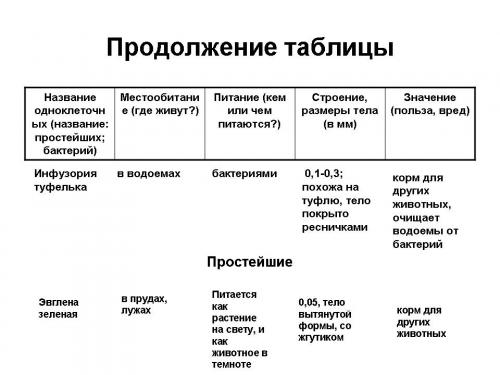 Изучение жизни в единственной клетке: удивительный мир организмов простейших 12