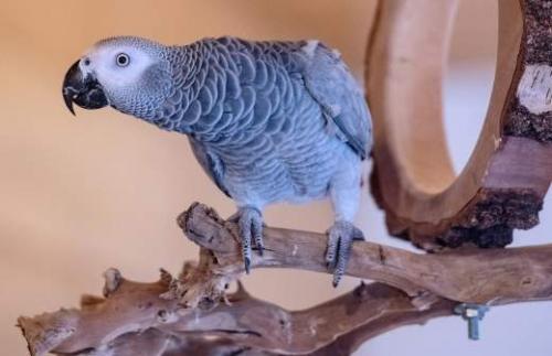 Как свести с ума успешного мужчину. Как свести мужчину с ума: анатомия страсти 07