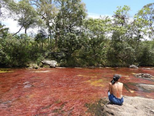 Природные географические объекты. 22 самых необычных природных объекта в мире