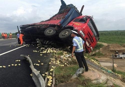 Ужасная авария, бедные птенцы! 01