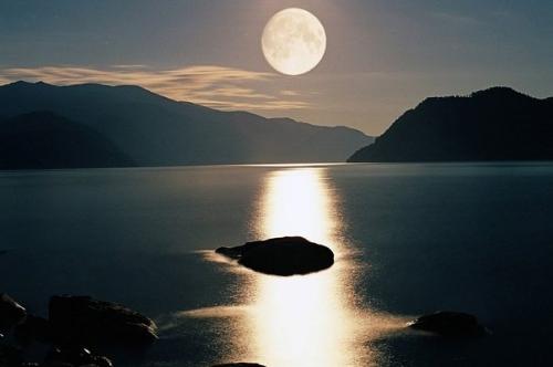 Алтайский заповедник в горах южной Сибири расположен. 05