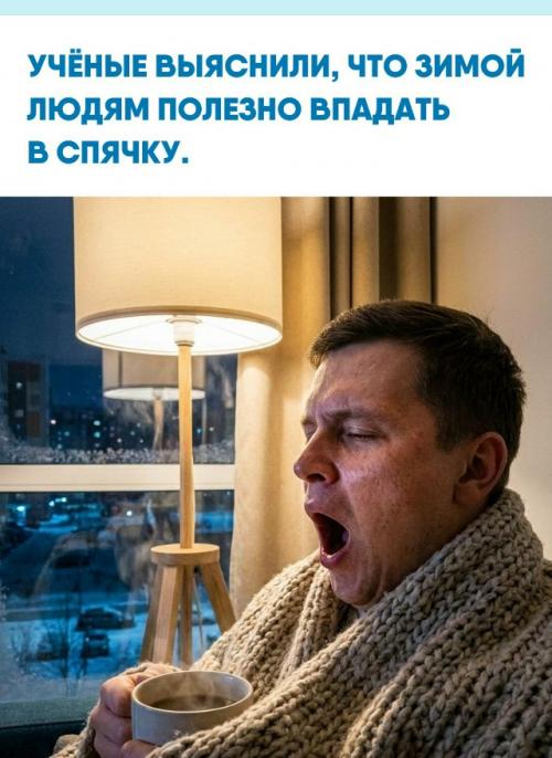 Специалисты считают, что стремление замедлиться в холодный сезон связано с естественной защитной реакцией организма.  