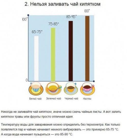 Вещи, которые вы не знали о том, как пить чай. 01