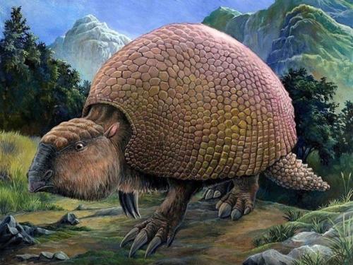 В Аргентине нашли четыре окаменевших панциря вымерших броненосцев глиптодонтов. 03