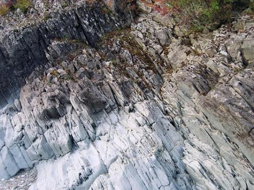 Алтайский заповедник в горах южной Сибири расположен. 04