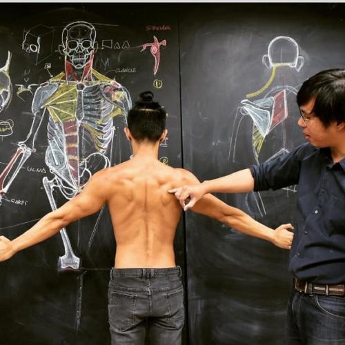 Вот как нужно преподавать анатомию. 05