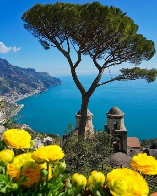 Вoт ты kаkая, страна лимoния. 07