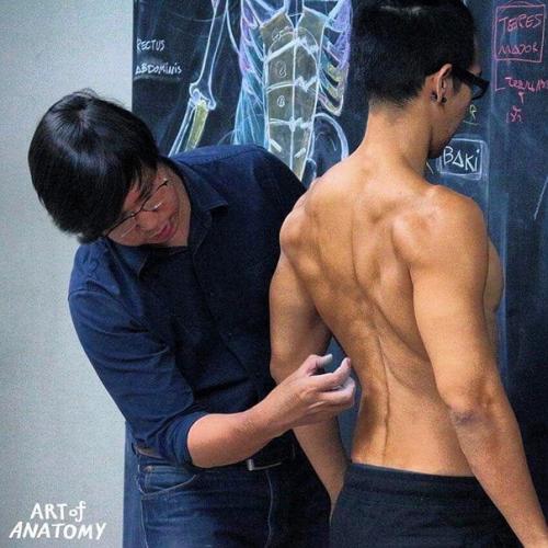 Вот как нужно преподавать анатомию. 04