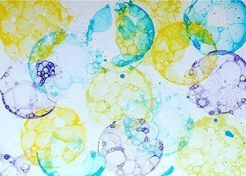 Рисунок мыльными пузыpями. 03