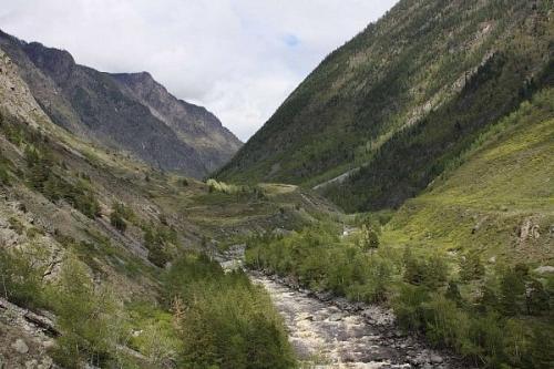 Алтайский заповедник в горах южной Сибири расположен. 02