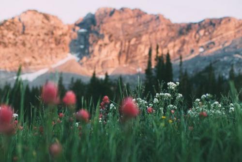 Лишь в том случае, если и есть на свете такая штука, как абсолютное счастье, то это ощущение, что ты в правильном месте. 04