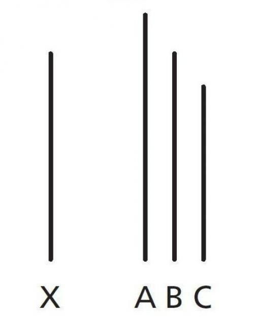 Почему мы стадо баранов или эксперимент соломона эша.