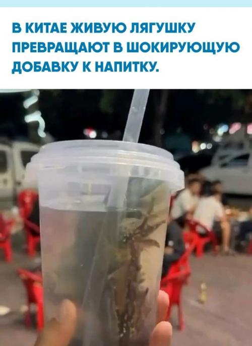 Стакан с привычными ингредиентами внезапно превращается в гастрономический аттракцион, когда внутри оказывается амфибия.  