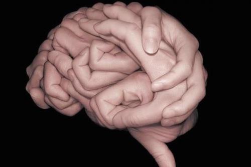 Ум - способность думать, способность находить решение жизненных задач, способность видеть и предсказывать последствия своих действий.  