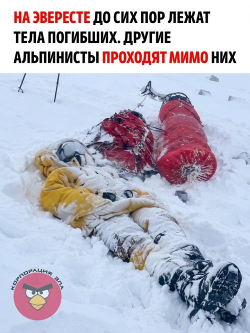 На склонах Эвереста до сих пор лежат тела альпинистов, погибших много лет назад. 

