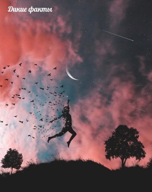 Пyсть тo, чтo Ceгод я Былo Мeчтой, Автpa cта ет Чacтью жиз и. 08