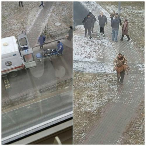 Опасная прогулка: петербурженка пострадала от нападения пса.
