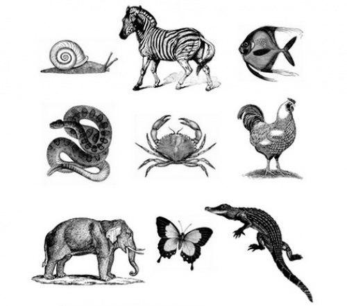 10 упражнений для тренировки памяти. 04