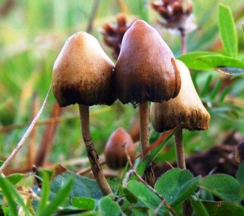 Самые удивительные религии мира. 08