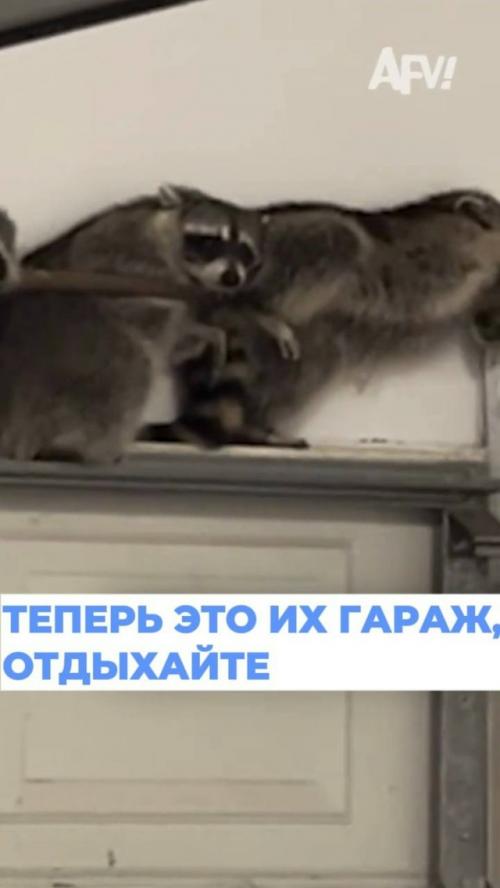 Жители Америки стали свидетелями необычного звука из своего гаража и решили выяснить, в чем дело. 01