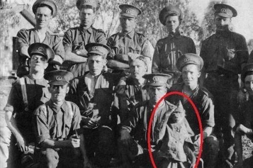 В 1915 году, в разгар первой мировой войны, Альберт марр присягнул на верность Британии.