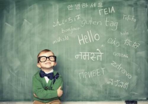 Занятия, которые можно освоить, не отходя от компьютера.

