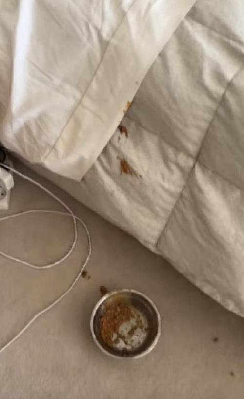 Боня отличилась снова. 01