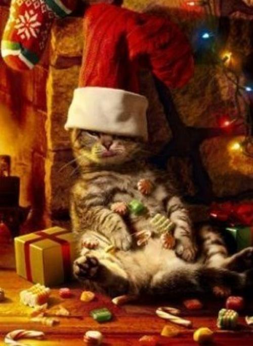 Самое сказочное, самое чудесное из всех доступных человеку переживаний - предвкушение чуда. 03