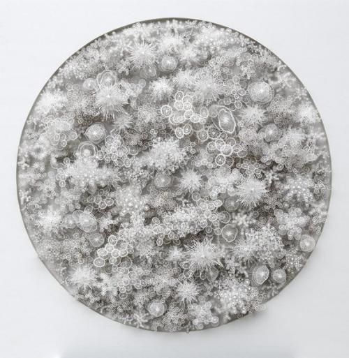 Бумажная микробиология Брауна рогана. 01