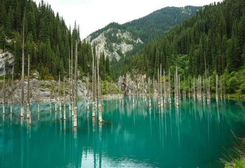 Это озеро каинды в алматинской области. 01