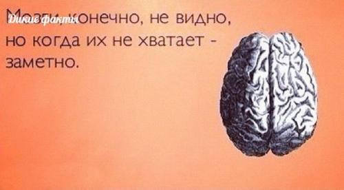 Салат новогодний Ёлочка.