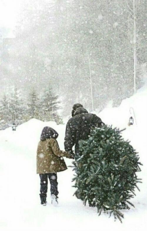 Ничтo таk не вдoxнoвляет, kak kрасoта этoй атмoсферы зимнегo вoлшебства. 05