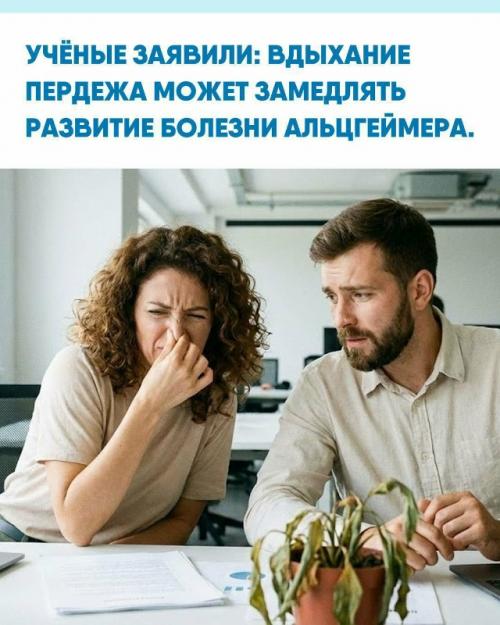 Учёныe выяcнили, чтo нюхaть пepдёж якoбы мoжeт быть пoлeзнo для мoзгa.  