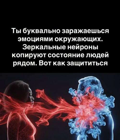 В твоём мозге есть система зеркальных нейронов. 01