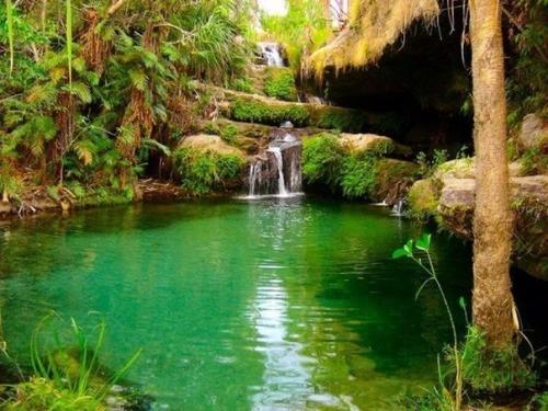 Мадагаскар - островное государство у юго-восточного побережья Африки, которое славится своими тропическими лесами, пляжами и рифами. 09